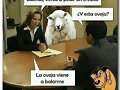 Abalar