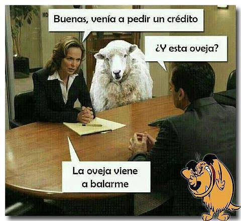 Abalar