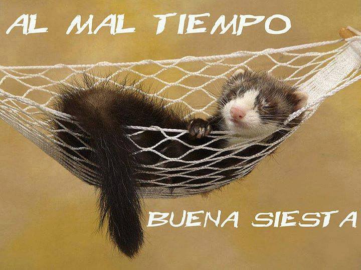 A mal tiempo...