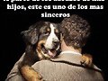 Un abrazo amigo