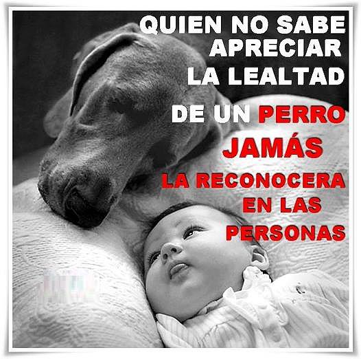 Apreciar