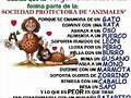 Asi nos ven