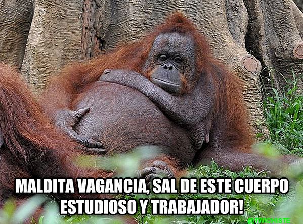 estudioso