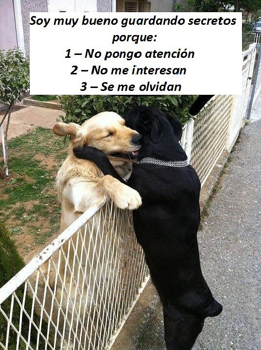 Guardar secretos