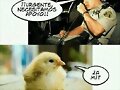 Apoyo