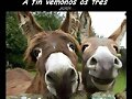 Al fin nos vemos los 3