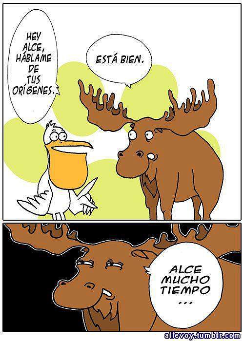 Alce