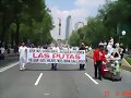 Buena manifestaci&oacute;n