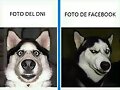 foto dni