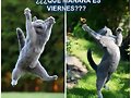 jueves