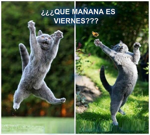 jueves