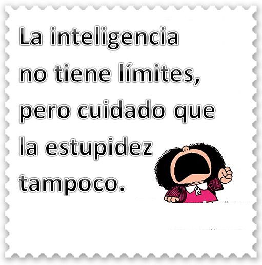 tambien estupidez