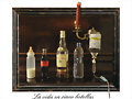 la vida en 5 botellas