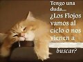 flojos