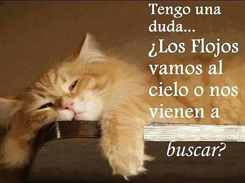 flojos