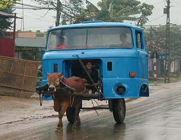 Taxi buey