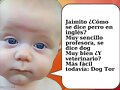 ni&ntilde;o perro