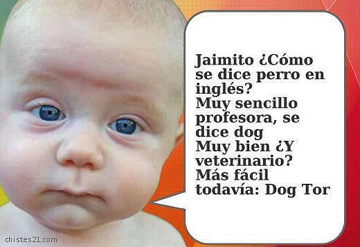 niño perro