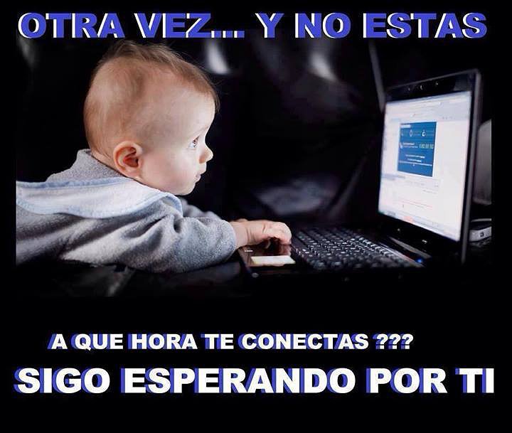 canecta