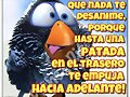 no dejes que