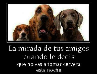 no vas esta noche