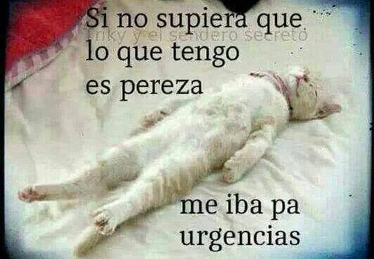 pereza