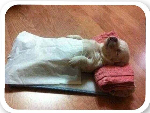 a dormir