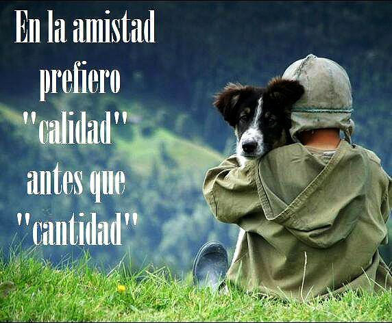 calidad