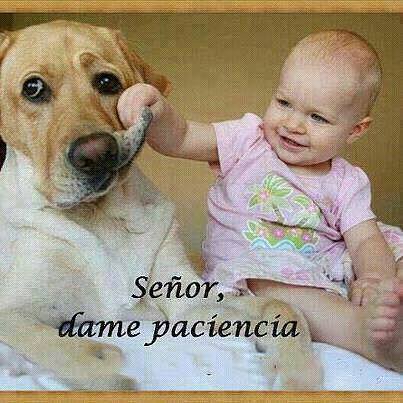 paciencia