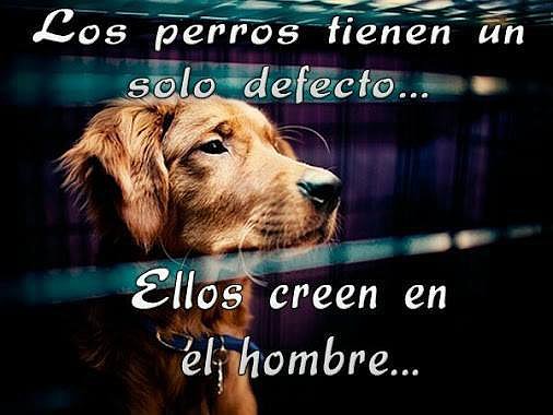 ellos se lo creen