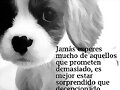 jamas esperes