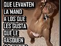 la pancita