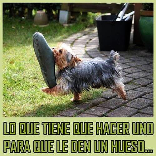 lo que