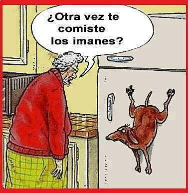 los imanes
