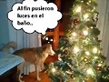 luz de ba&ntilde;o