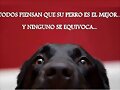 no se equivoca