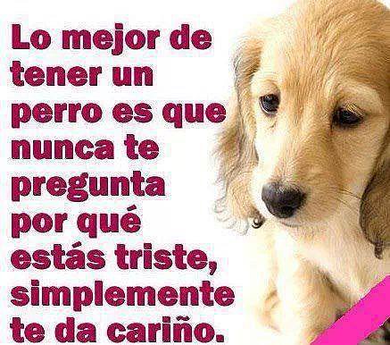 pregunta