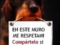 respuesta