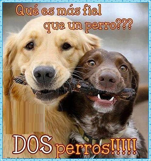 dos