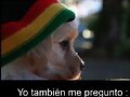 pregunta