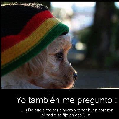 pregunta