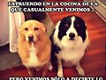 en la cocina