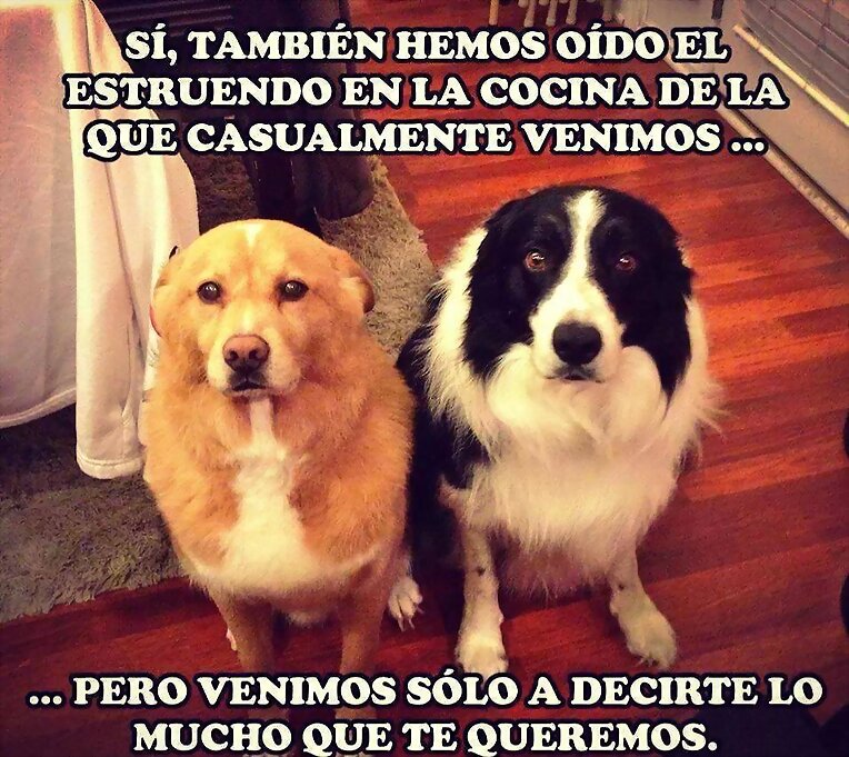 en la cocina