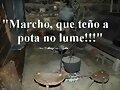 tengo
