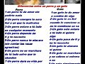 Adoptar un perro
