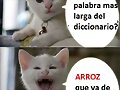 arroz