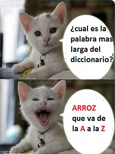 arroz