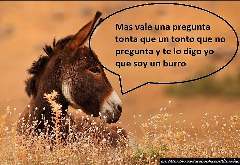 piensa el burro