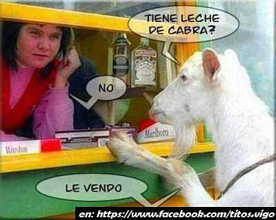 te vendo