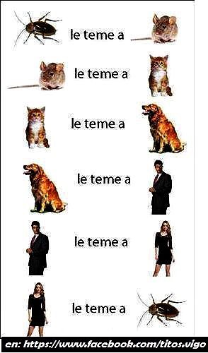 ciclo